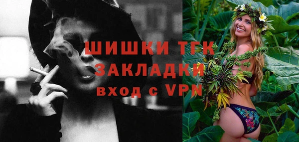 дживик Абинск