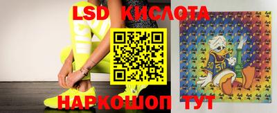 ПСИЛОЦИБИНОВЫЕ ГРИБЫ Краснознаменск