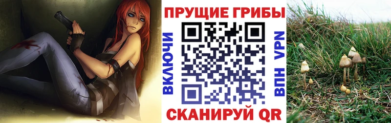 Галлюциногенные грибы ЛСД  Усть-Кут 