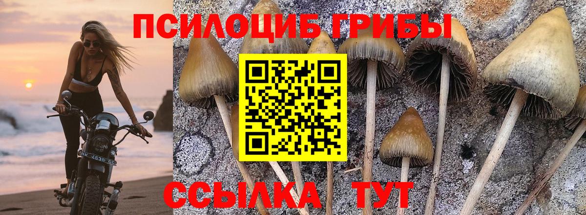 Галлюциногенные грибы мухоморы Усть-Кут