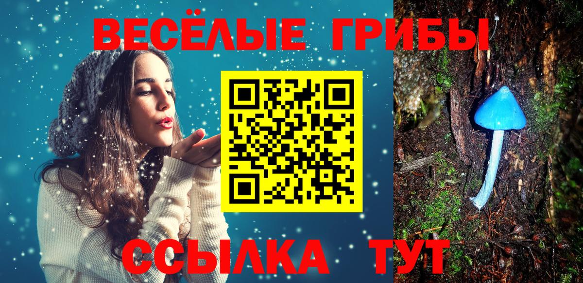 Усть-Кут  Псилоцибиновые грибы прущие грибы  Псилоцибиновые грибы Psilocybe  Вход с VPN 